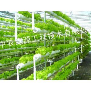 蔬菜栽培介质