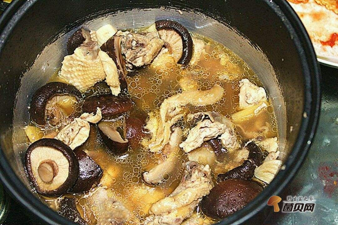 香菇炖鸡汤的做法