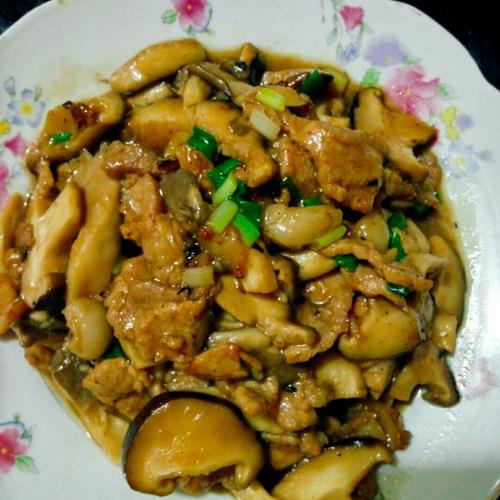 鸡菇的做法大全