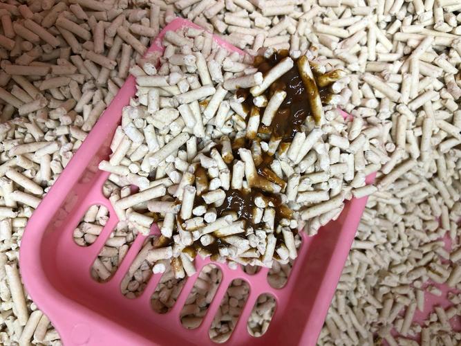 猫拉稀不吃东西呕吐怎么办吃什么药