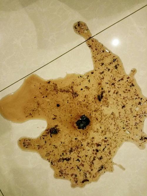 狗狗吃东西呛到后吐血