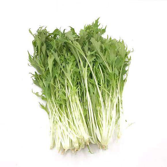 京水菜做法