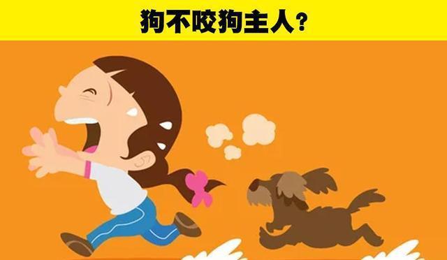 世狗咬坏东西
