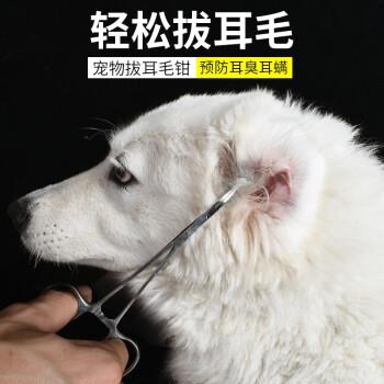 需要剪耳朵的狗有什么东西