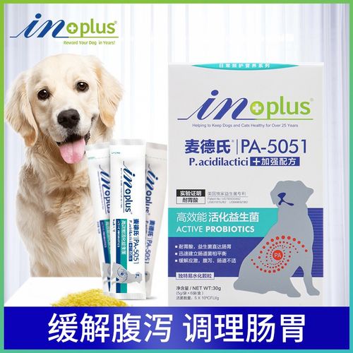 狗狗吃东西不消化吃什么药