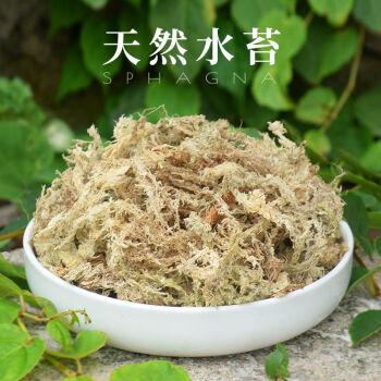 水苔栽培多肉植物