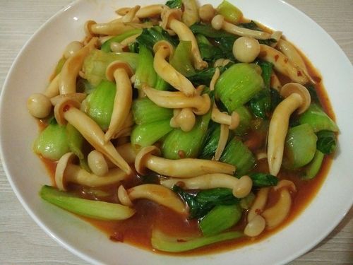 白雪菇做法大全