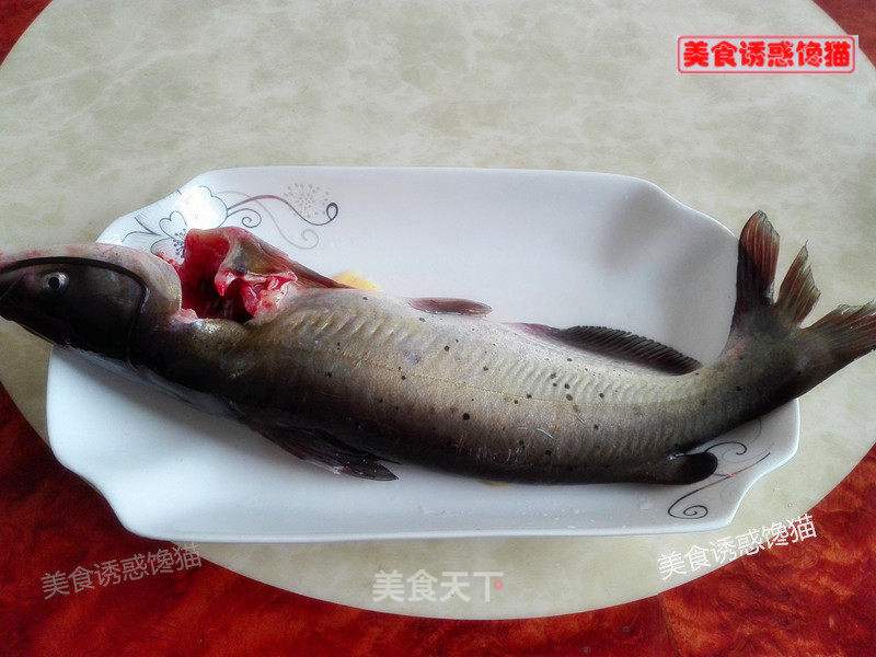 剑鱼的做法大全