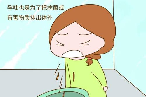 孕吐不想吃东西
