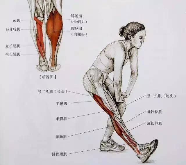 如何做腿部拉伸运动