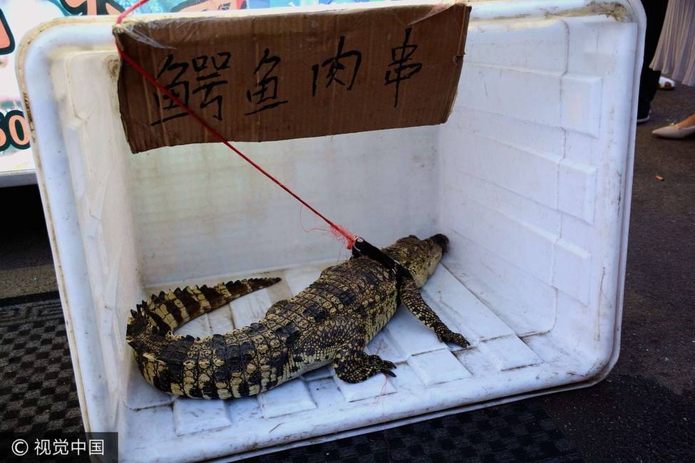 鳄鱼肉的做法