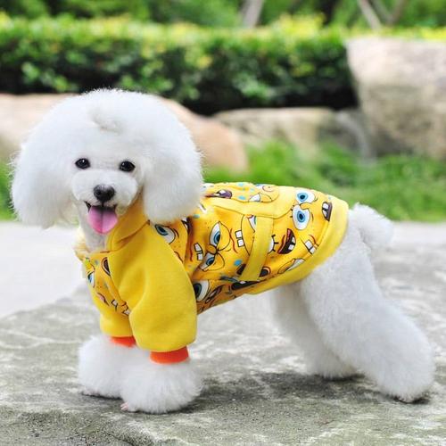 宠物搬东西衣服