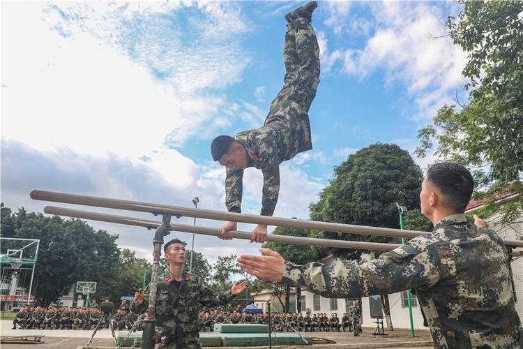 寻回训练