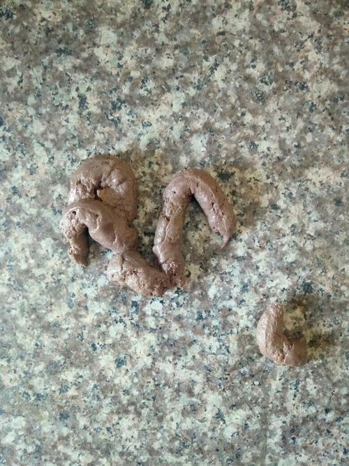 小狗没吃东西还拉屎怎么办