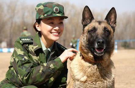 军人怎么训练军犬