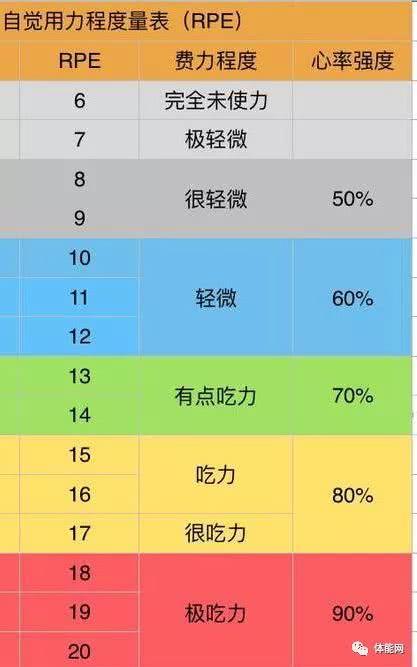 有氧运动效果排行