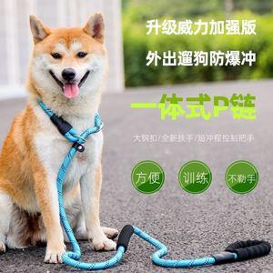 如何训练小狗用牵引绳