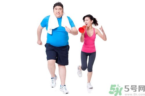 中年 减肥 运动