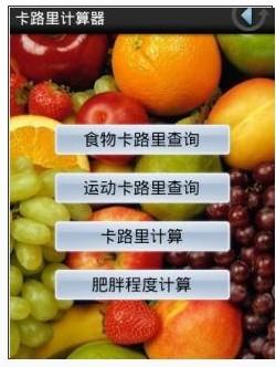 运动热量计算器