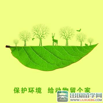 保护环境的做法