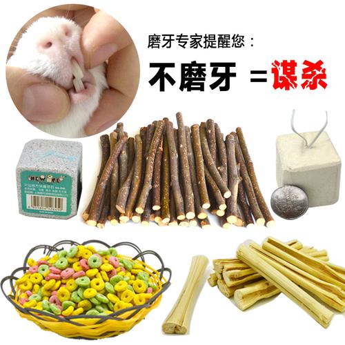 豚鼠一直在磨牙不吃东西怎么办