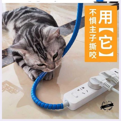 猫咪乱咬线之类的东西