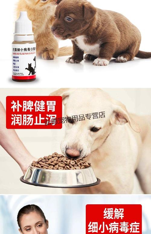 狗吃什么东西可以止吐