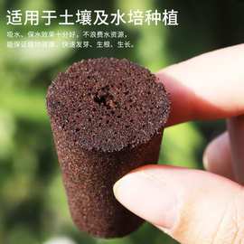 无土栽培基质有哪些