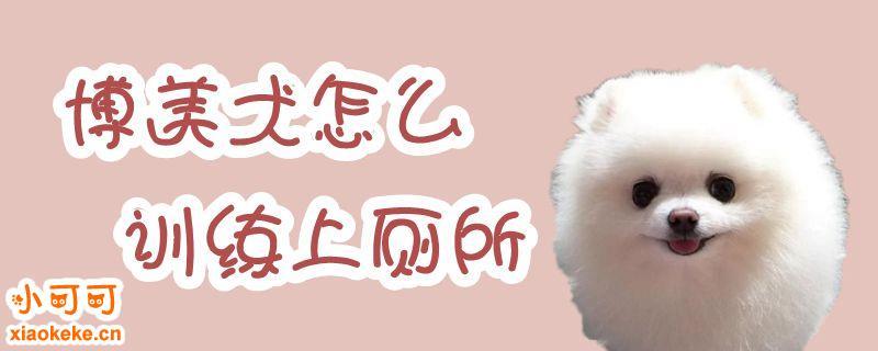 博美大小便怎么训练