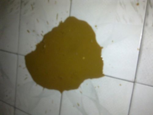 幼犬拉稀恶臭不吃东西