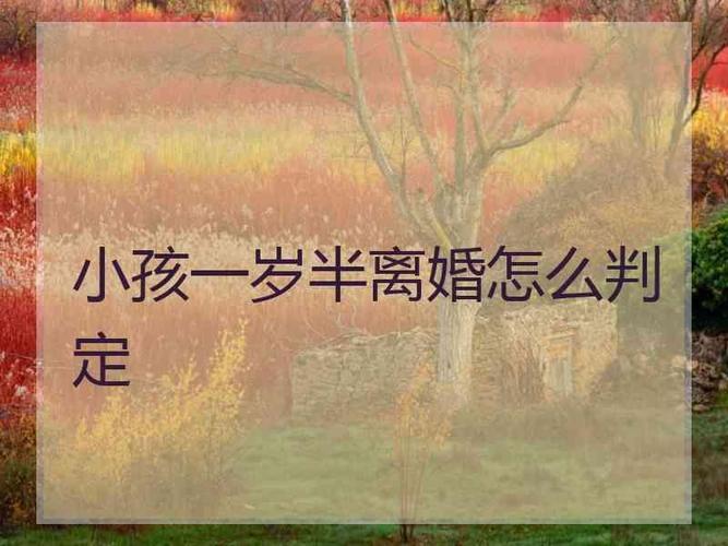 两个孩子离婚怎么判