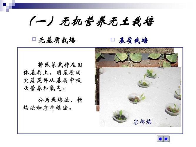 无土栽培基质作用