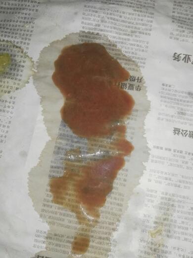 5天的小狗拉稀不吃东西怎么办