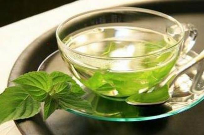 每天运动前喝绿茶能减肥吗
