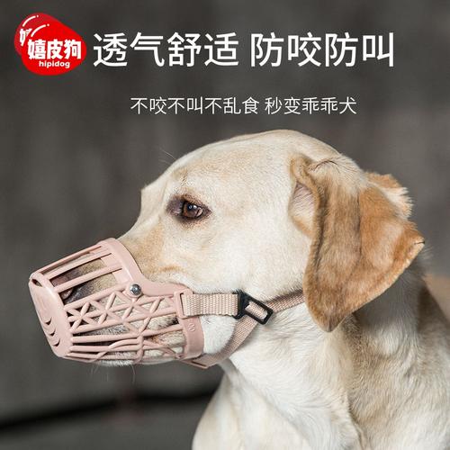 什么东西可以防止狗咬