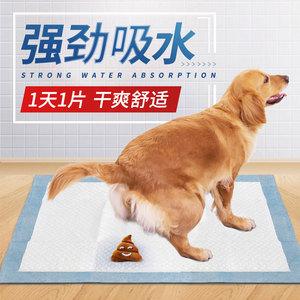 专门给狗狗擦尿的东西