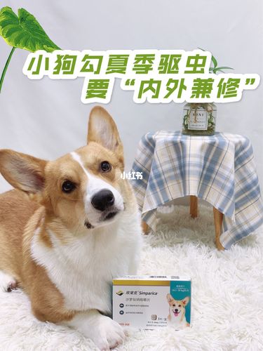 平时喜欢吃生的东西要驱虫