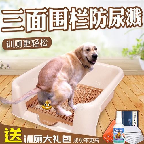 怎样训练狗狗撒尿 拉屎