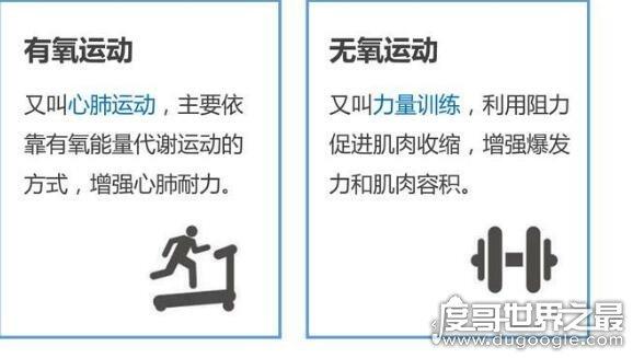 有氧运动跟无氧运动的区别