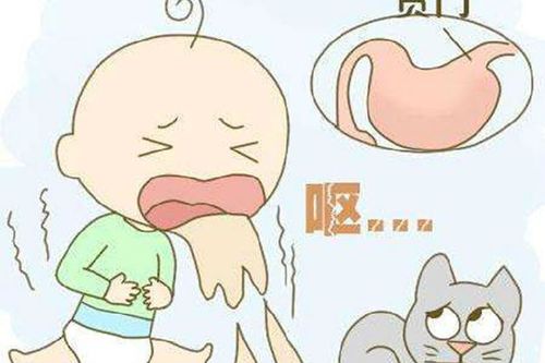 病人呕吐吃不下任何东西怎么办