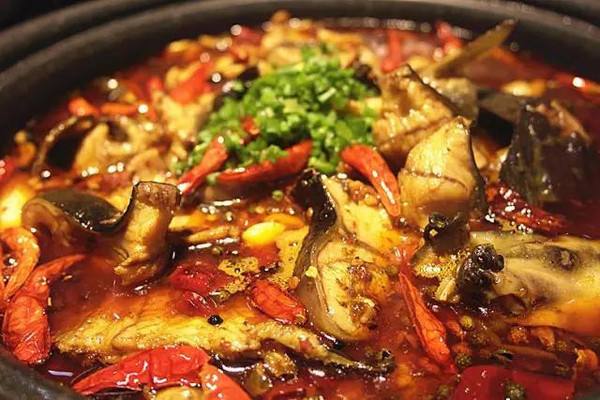铁锅鲶鱼的做法