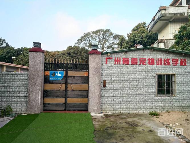 南宁训练狗狗学校