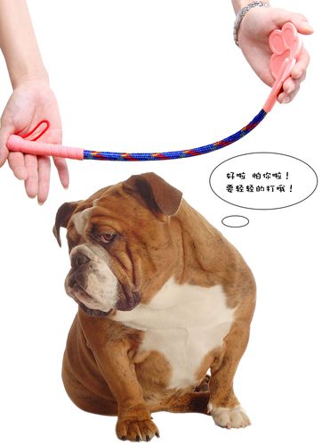 打狗训练