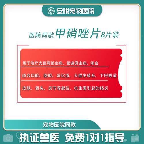 狗打甲硝锉不吃东西