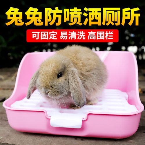 宠物兔怎么训练去厕所