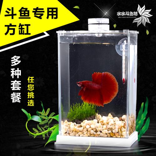 斗鱼鱼缸布置需要什么东西