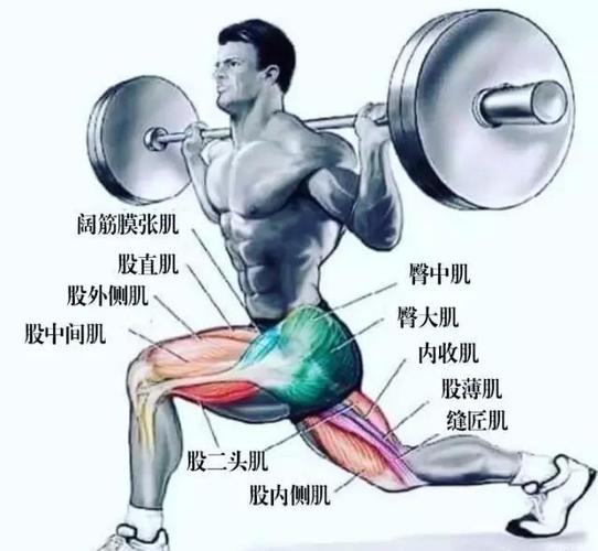 大腿肌锻炼运动