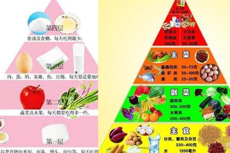 减肥运动金字塔 薄荷