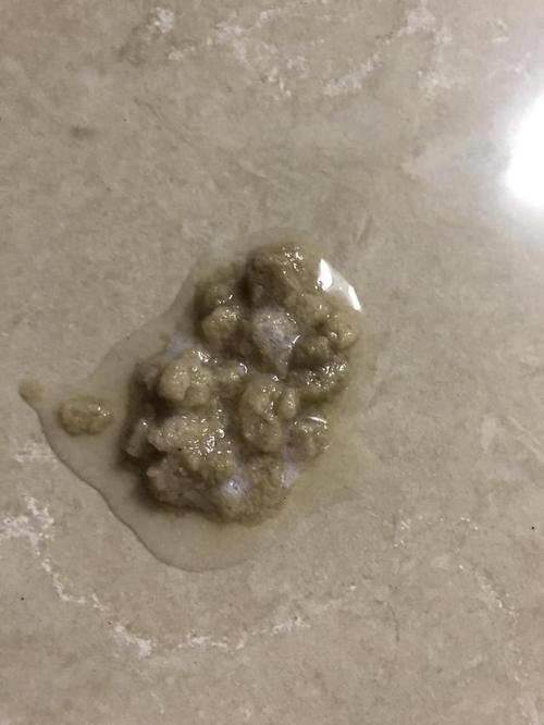 狗狗吃了不干净的东西呕吐