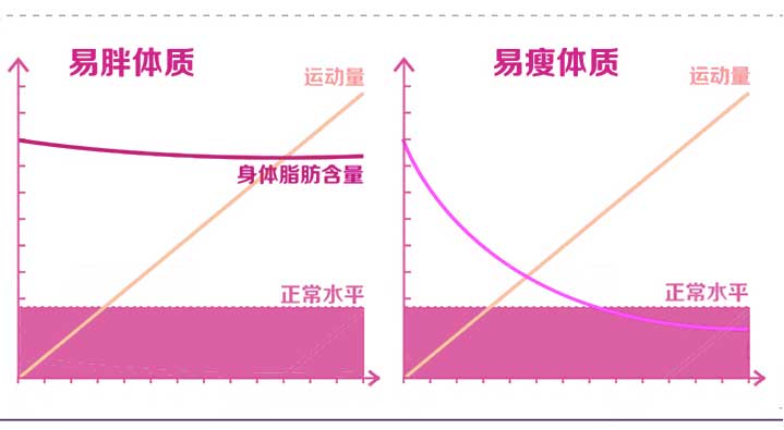 运动 脂肪转化